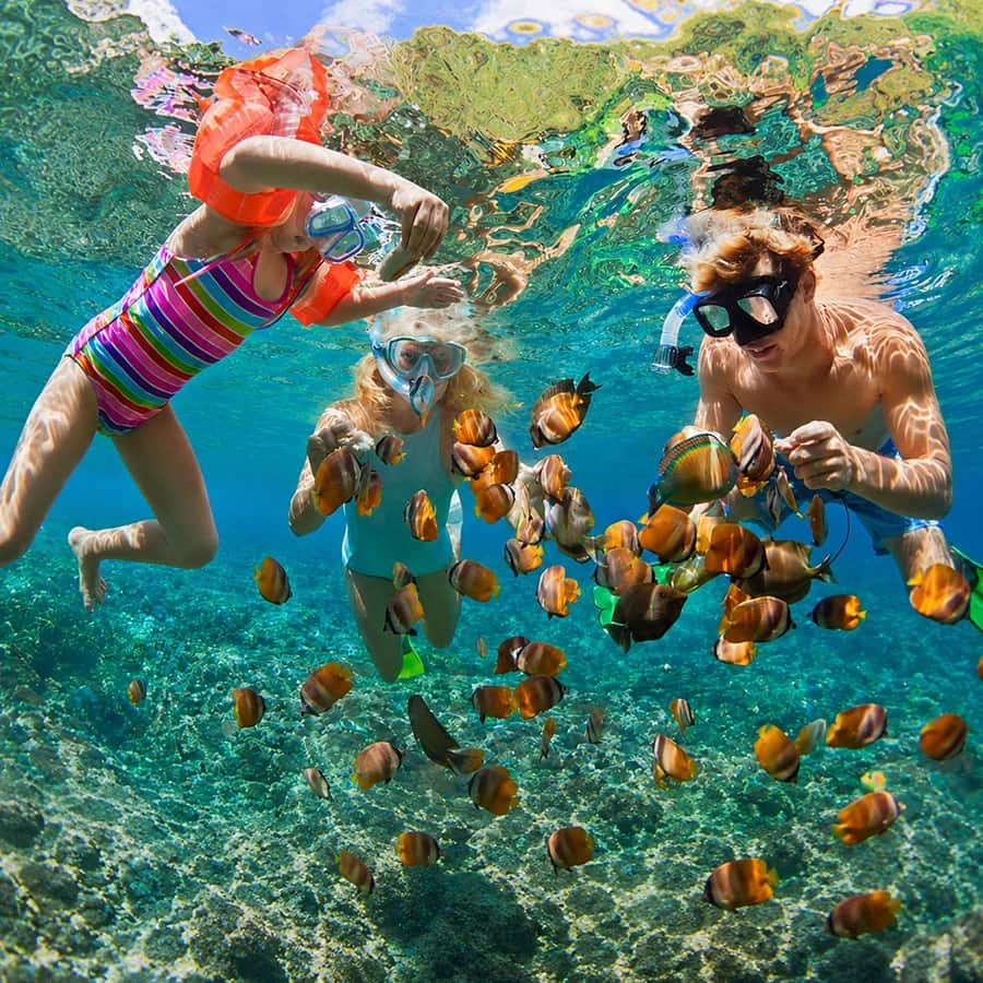 snorkeling in krabi